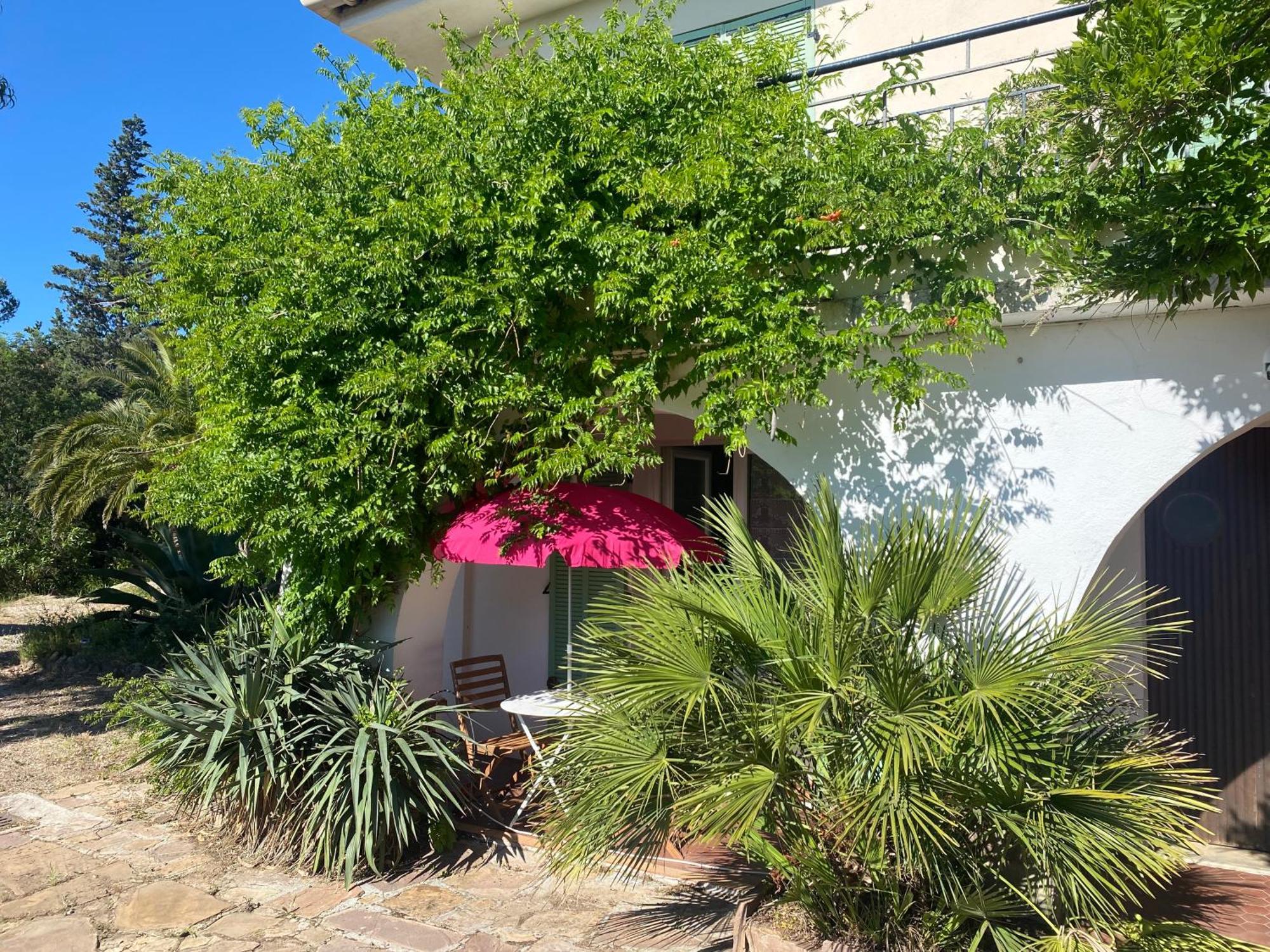 Chez Madou, T1 En Bas De Villa Et Rez De Jardin A 900M De La Mer Et Des Commerces Fréjus Buitenkant foto